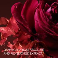 faces the alchemist s garden rosa incandescente