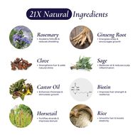 Herbal Leave-In Toner faces herbal leave in toner