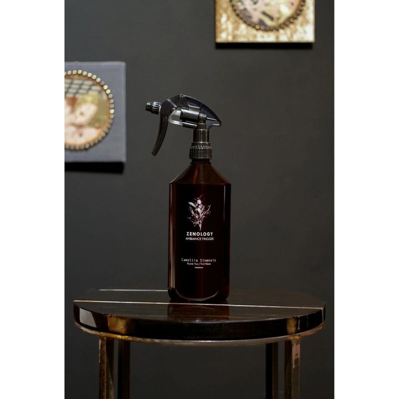zenology camelia sinensis black tea