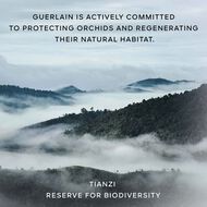 faces orchidee imperiale the essence in lotion