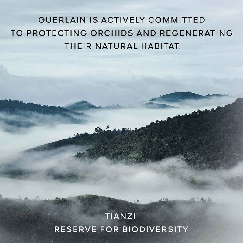 guerlain orchidee imperiale the essenceinlotion