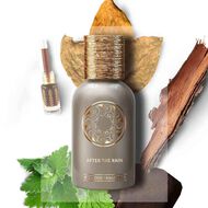 faces عطر افتر ذا رين أو دو برفان 50مل