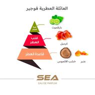 عطر سي faces عطر سي