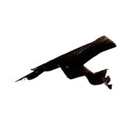 faces signature black stamp