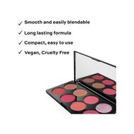 Ultra Blush Palette Sugar and Spice faces ultra blush palette sugar and spice