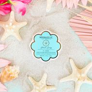Daisy Collection Beach Grass Body Wash Infused Spongette (7+ Uses) faces daisy collection beach grass body wash infused spongette 7 uses