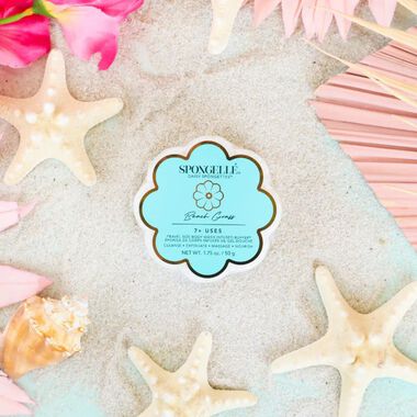 Daisy Collection Beach Grass Body Wash Infused Spongette (7+ Uses) faces daisy collection beach grass body wash infused spongette 7 uses