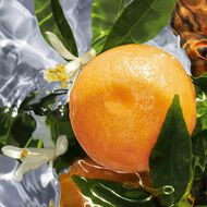 faces عطر بامبلولون أو دو تواليت 125مل