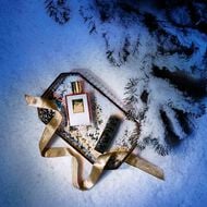 Love, don't be Shy Icon Set faces love don t be shy icon set