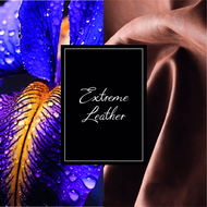 faces extreme leather