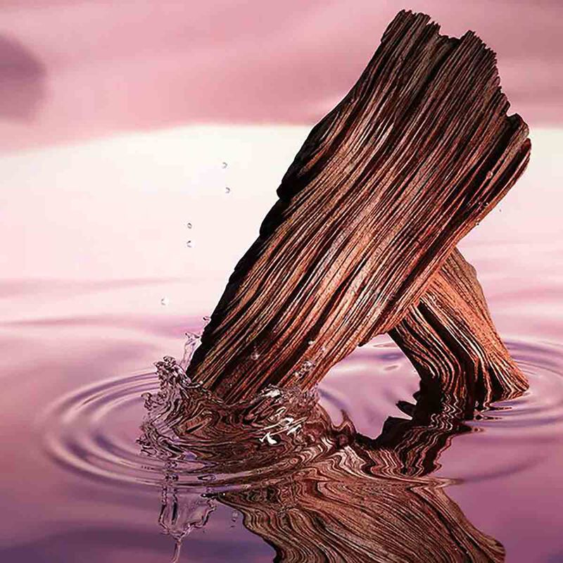 إستي لودر عطر ديزرت إيدن أو دي برفان