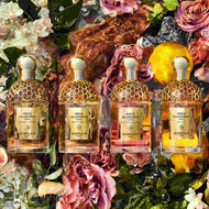 faces aqua allegoria forte bosca vanilla