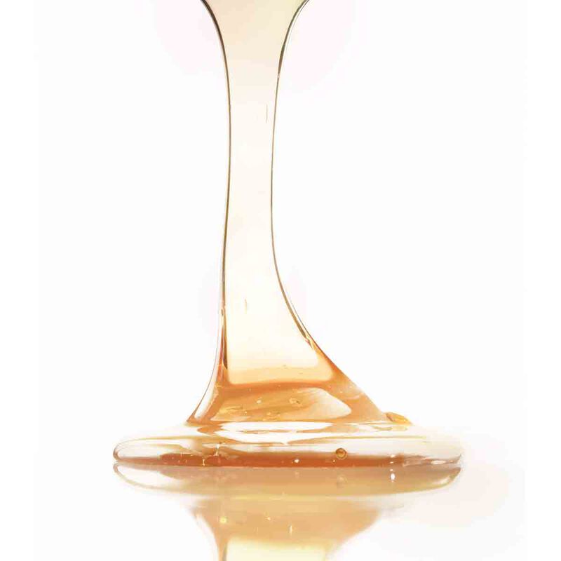 ليونور جريل شامبو بين تريتان بروبوليس