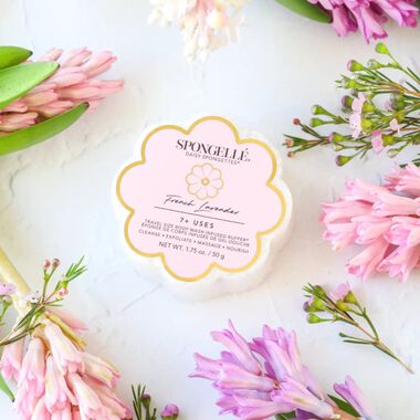 Daisy Collection French Lavender Body Wash Infused Spongette (7+ Uses) faces daisy collection french lavender body wash infused spongette 7 uses
