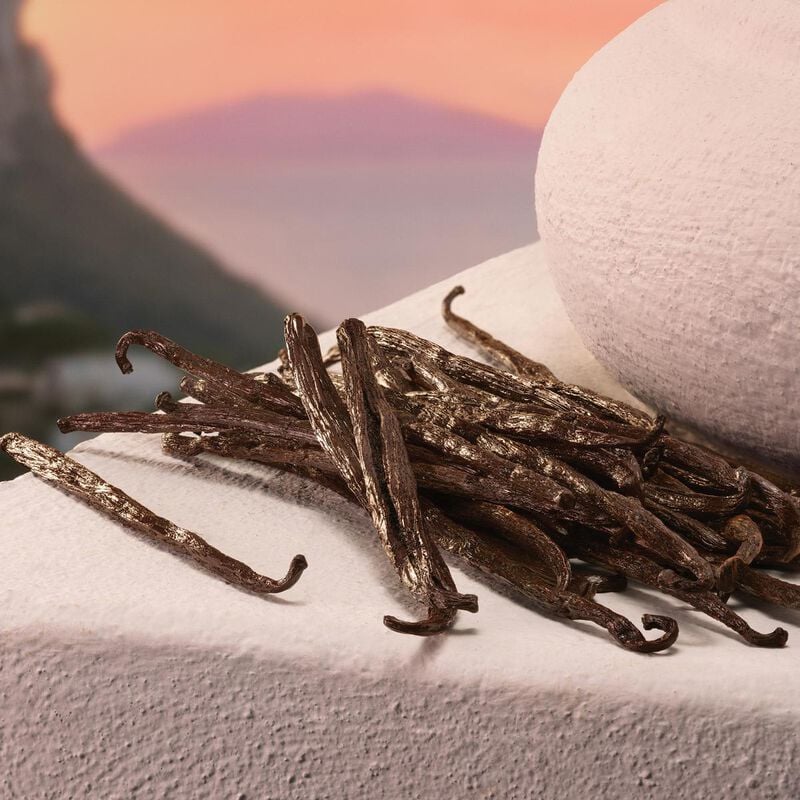 dolce & gabbana my devotion intense