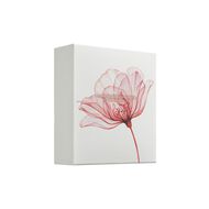 faces the ritual of ayurveda medium