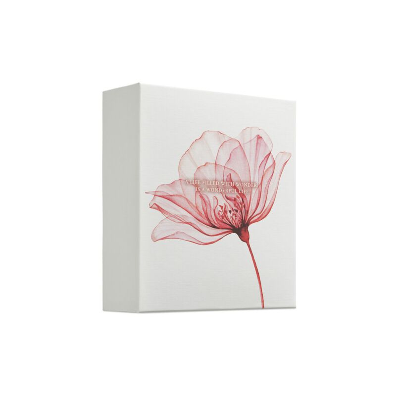 rituals the ritual of ayurveda medium