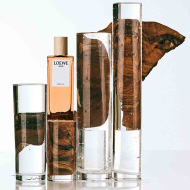 faces loewe solo esencial