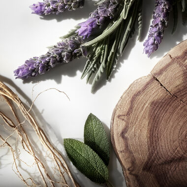 عطر رالف كلاب أو دو بارفان faces عطر رالف كلاب أو دو بارفان