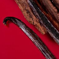 faces s  passione red bloom