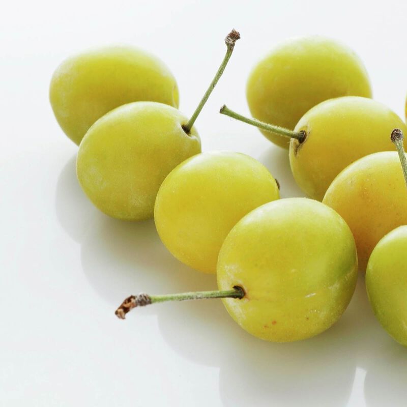 fredericfekkai شامبو للشعر الملون تيكنشن كلر