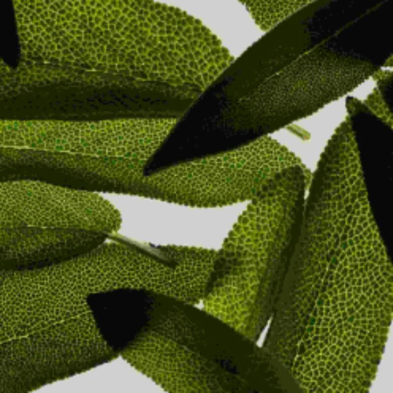 tara sage+ multivitamin agewell system