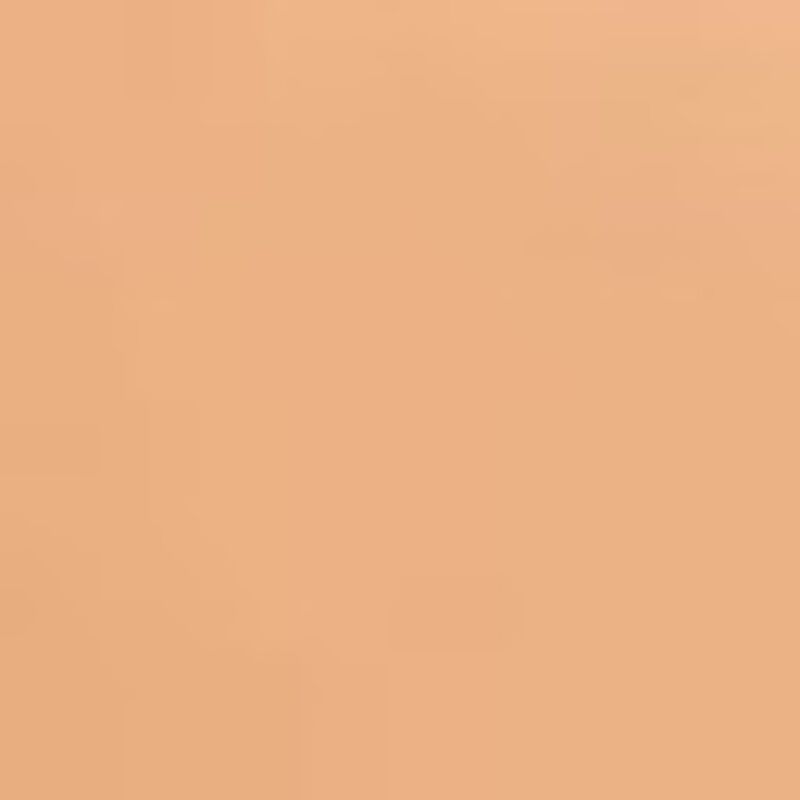 sisley phyto blanc le cushion