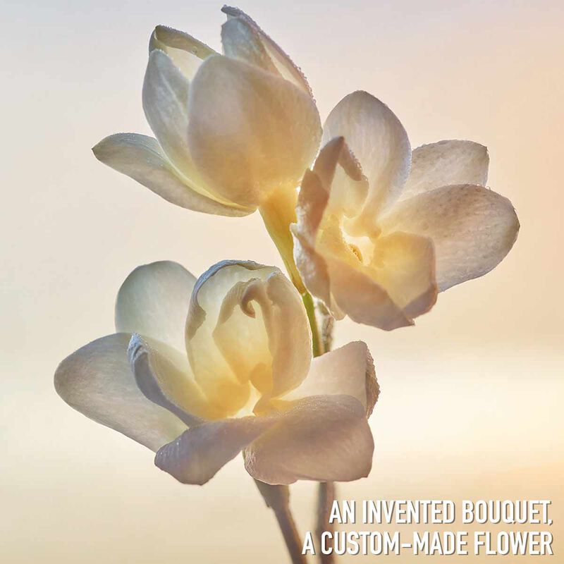 dior j'adore  eau de parfum