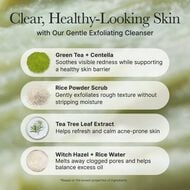 faces fresh green rice mochi cleanser