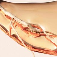 faces boss alive eau de parfum intense