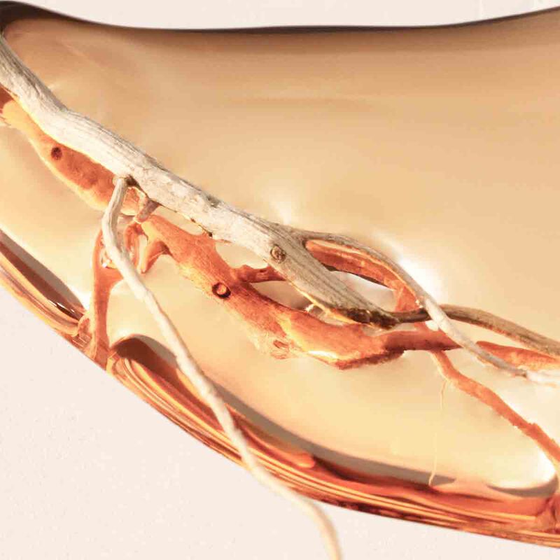 hugo boss boss alive eau de parfum intense