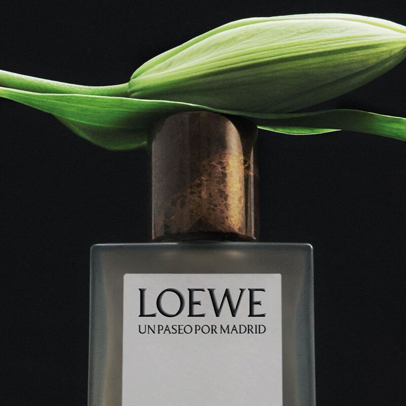 لووي تيمبلو ديبود