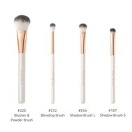 Blooming Brush Collection faces blooming brush collection