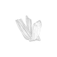 فان كليف آند آربلز بريشوس عود ماء عطر 75 مل faces فان كليف آند آربلز بريشوس عود ماء عطر 75 مل