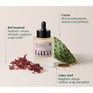 faces detox cactus   red seaweed scalp
