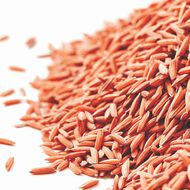 Super Strength Shampoo Damage and Breakage Repair faces super strength shampoo damage and breakage repair