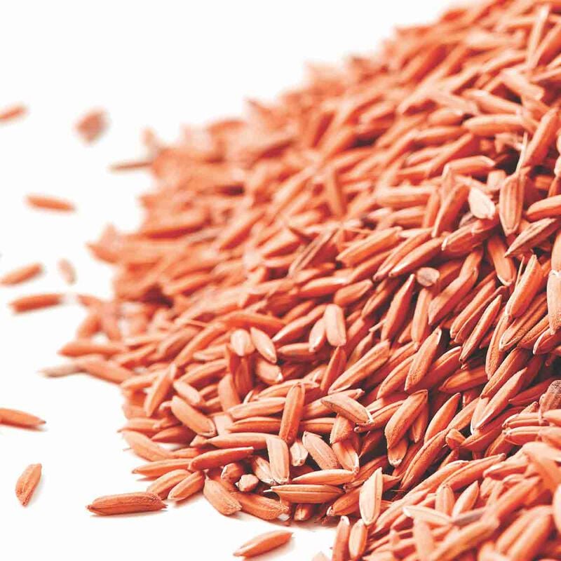 frederic fekkai super strength shampoo damage and breakage repair