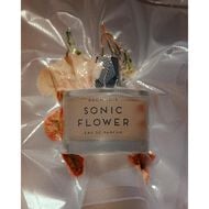 Sonic Flower faces sonic flower