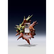 faces les exceptions cuir impert   repack