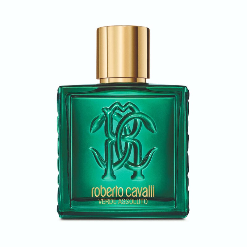 roberto cavalli uomo verde assoluto