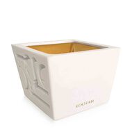 faces مبخرة صغيرة 330 جرام