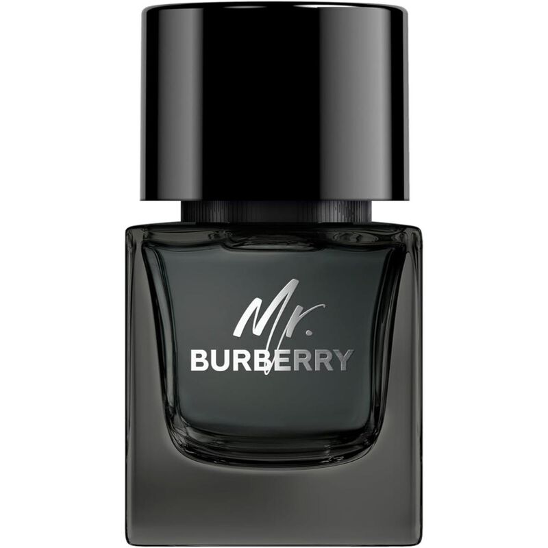 burberry mr. burberry  eau de parfum