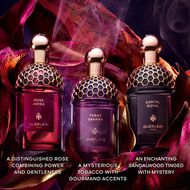 faces absolus allegoria tabac sahara