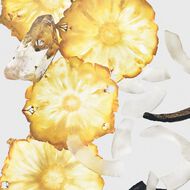 Silky Coconut faces silky coconut