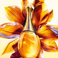 faces جادور إنتنس