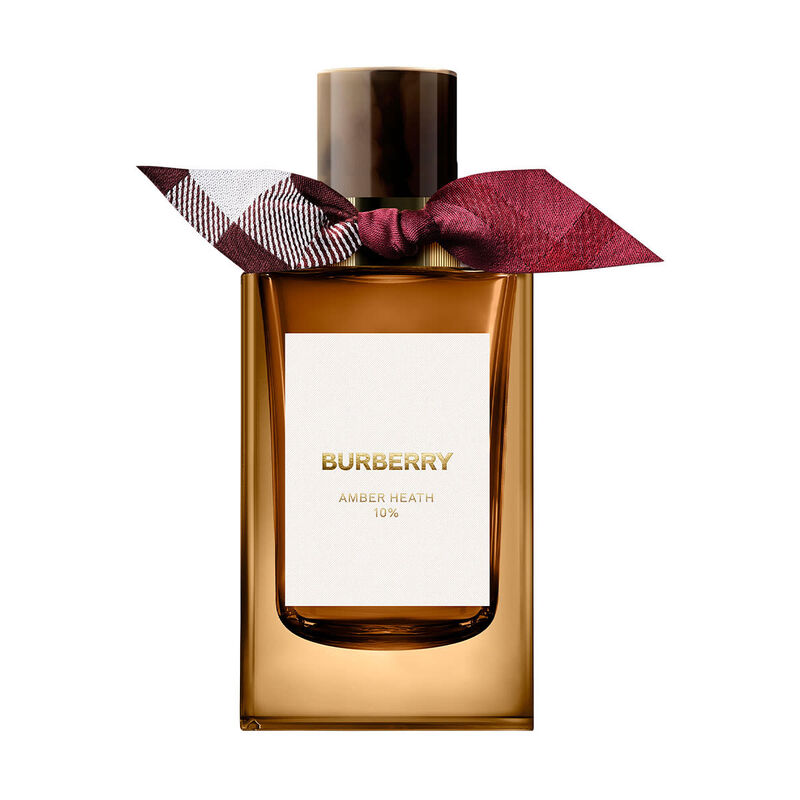 burberry signatures amber heath collectable limited edition