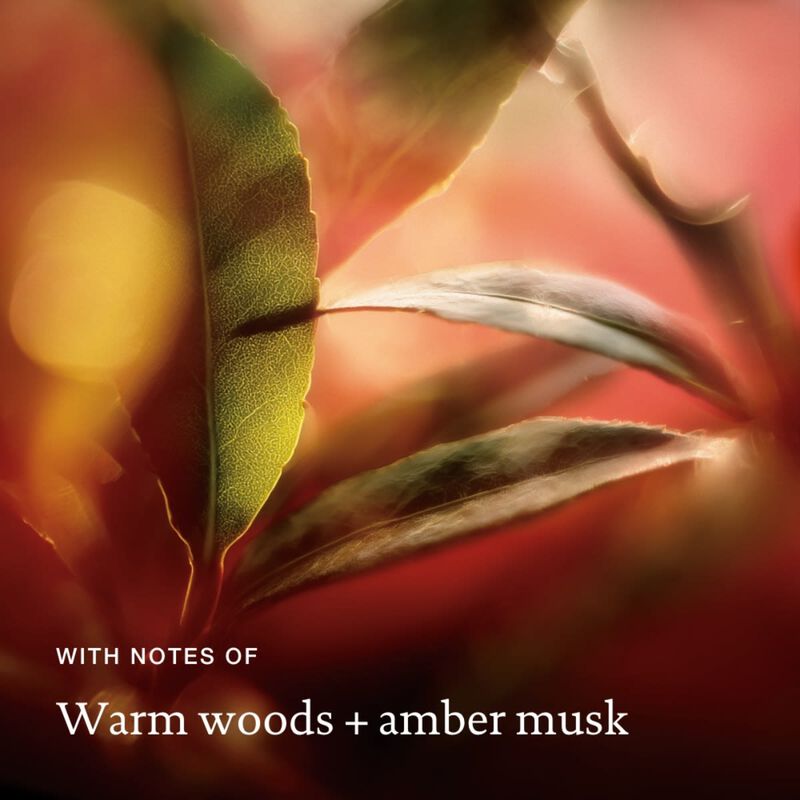 living proof velvet amber advanced clean dry shampoo