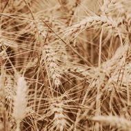 faces azali intensive repair mask 200ml