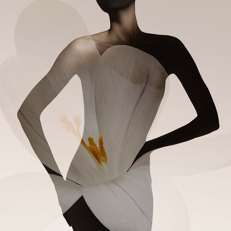 armani beauty prive oud nacre