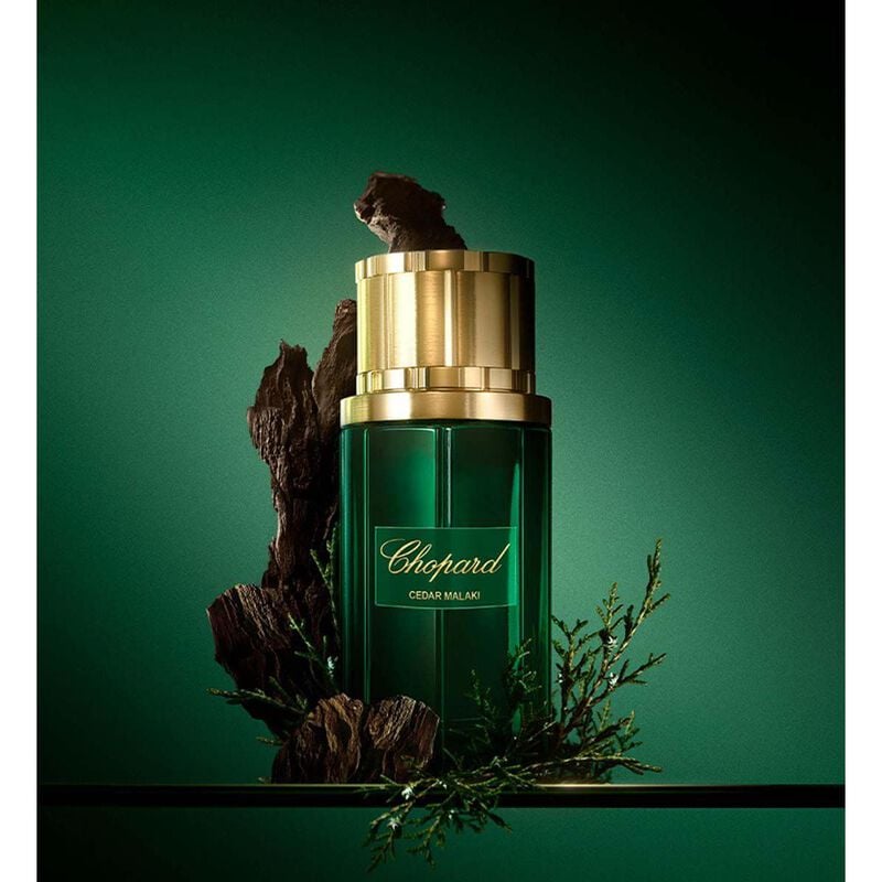 chopard cedar malaki